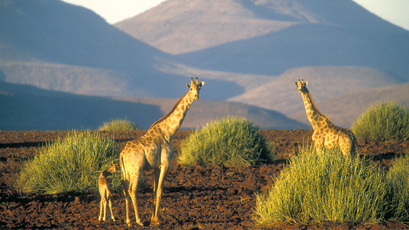 Afrika